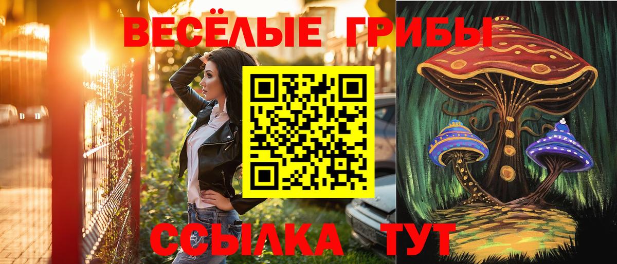 наркотики  Галлюциногенные грибы мицелий  Псилоцибиновые грибы мицелий  Вход с VPN  Ливны 