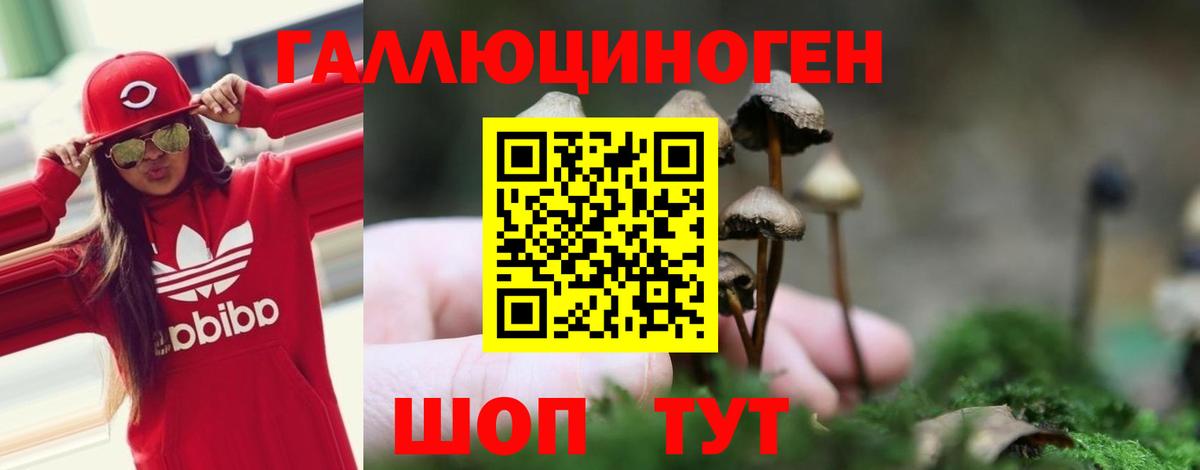 Псилоцибиновые грибы мицелий Ливны